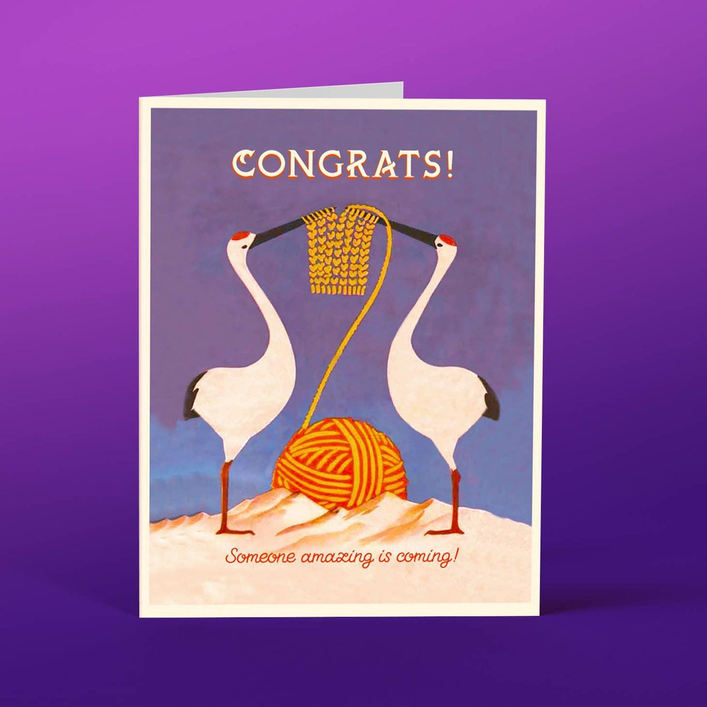 2 Storks | Congratulations Card - Offensive Delightful - The Sock Monster