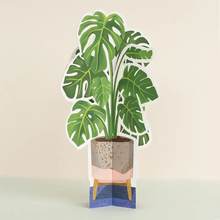 monstera decor Monstera Paper Plant