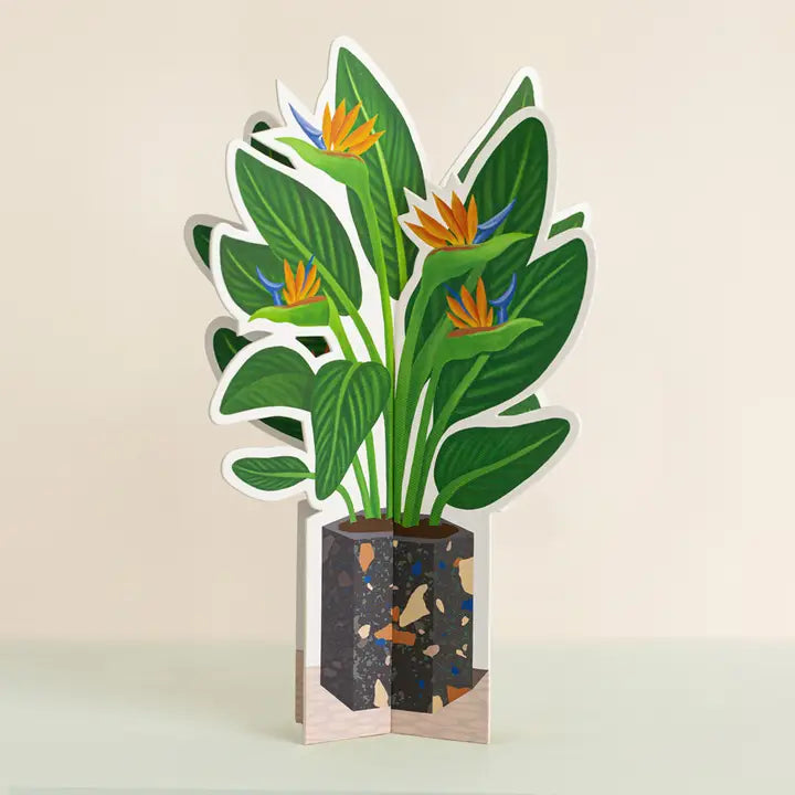 Birds of Paradise | Decorative Paper Plant