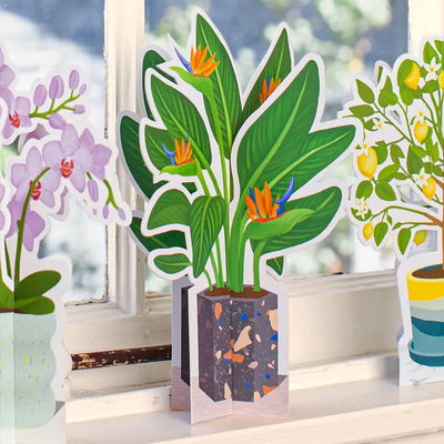 Birds of Paradise | Decorative Paper Plant