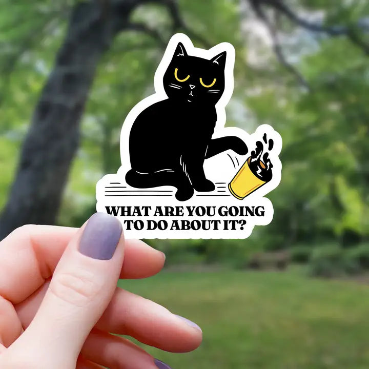 What Are You Gonna Do About It? | Vinyl Sticker