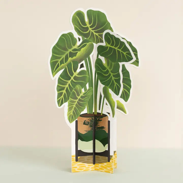 Elephant Ear | Decorative Paper Plant