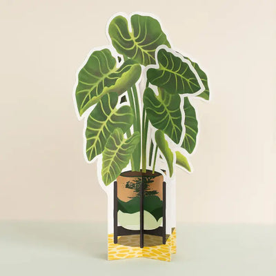 elephant ear plant leaves paper Elephant Ear