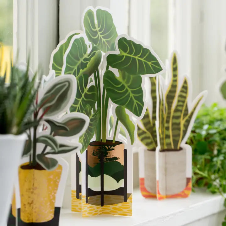 Elephant Ear | Decorative Paper Plant