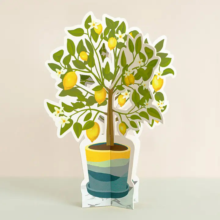 Lemon Tree | Decorative Paper Plant