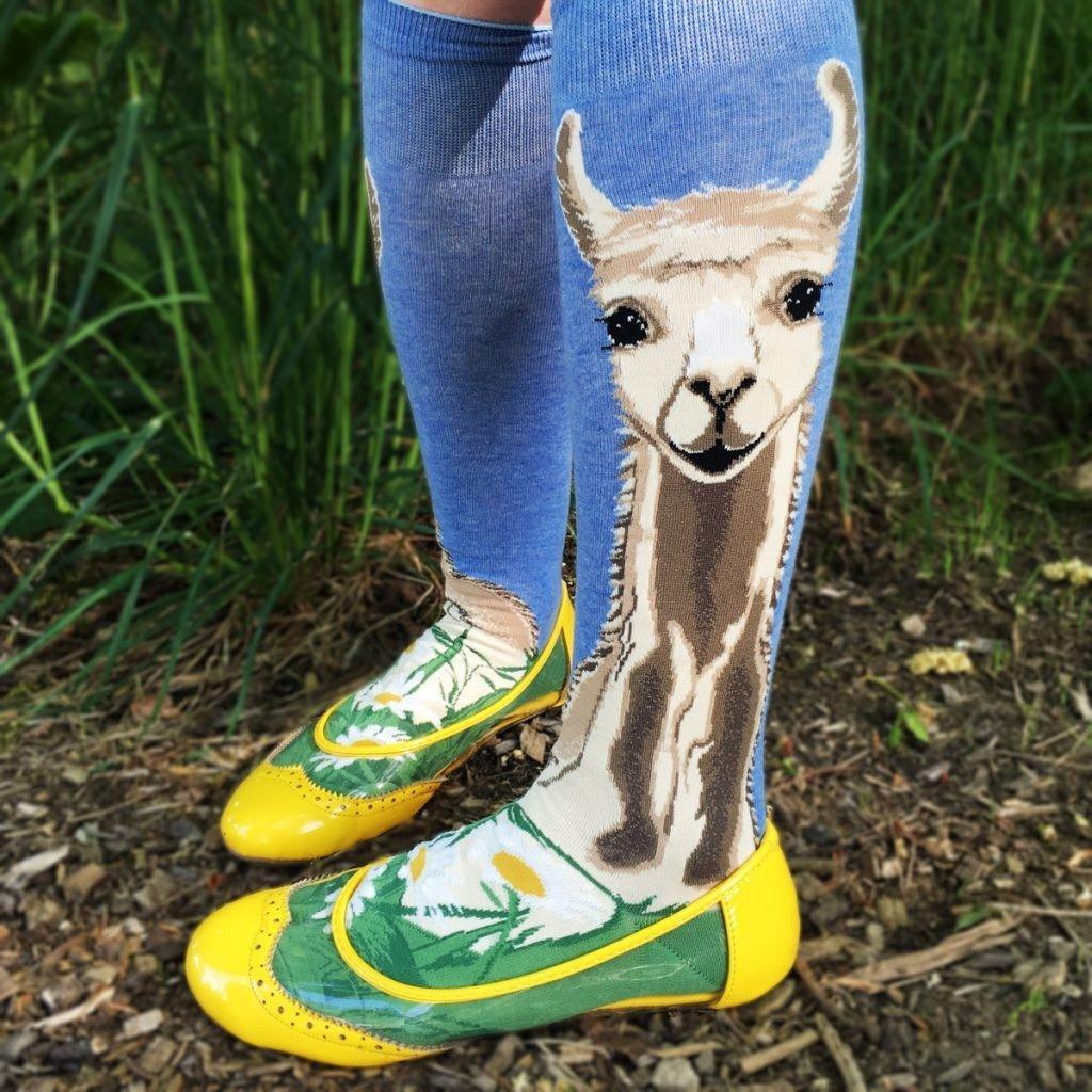 Lovely Llama, Roll Top Women's Knee-high - ModSock - The Sock Monster