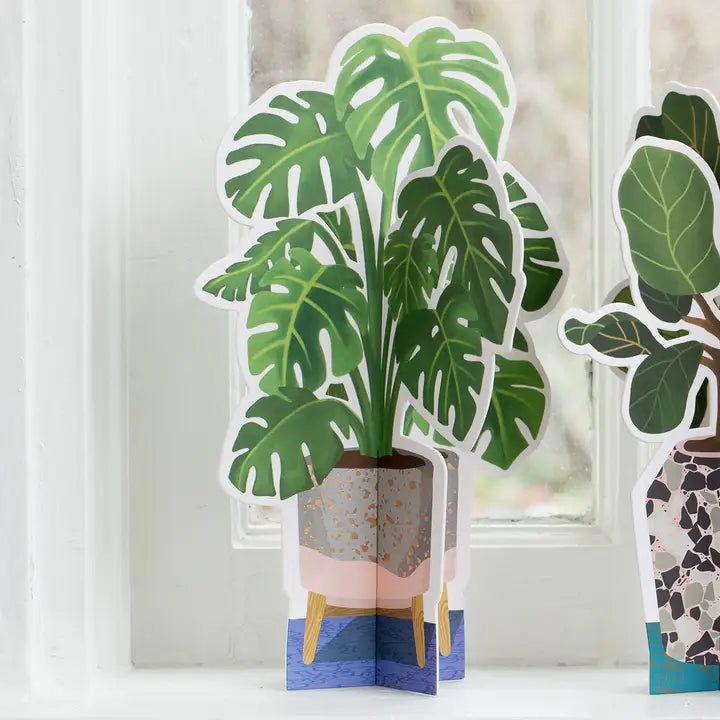 monstera decor Monstera Paper Plant
