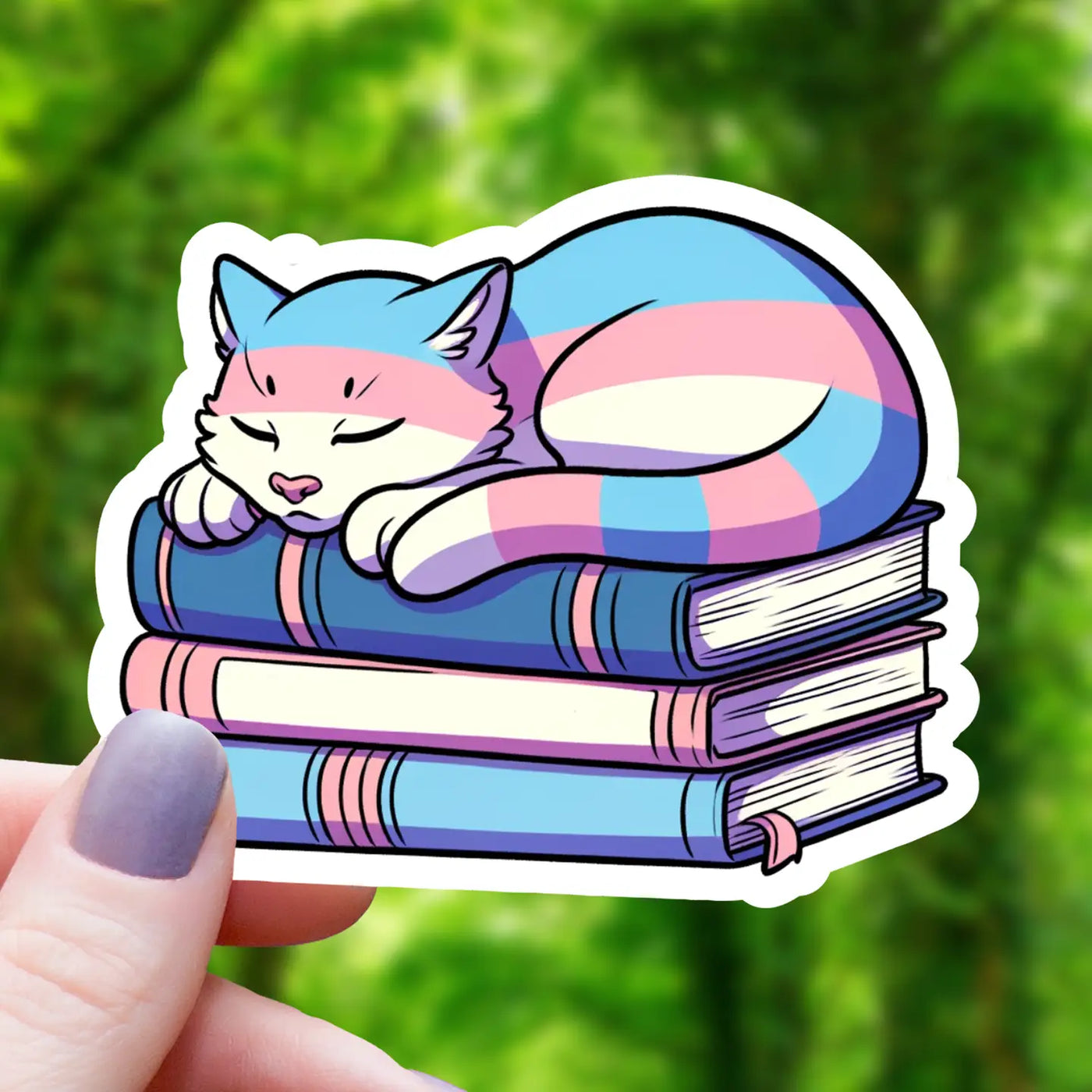 Trans Pride Cat on Books | Vinyl Sticker