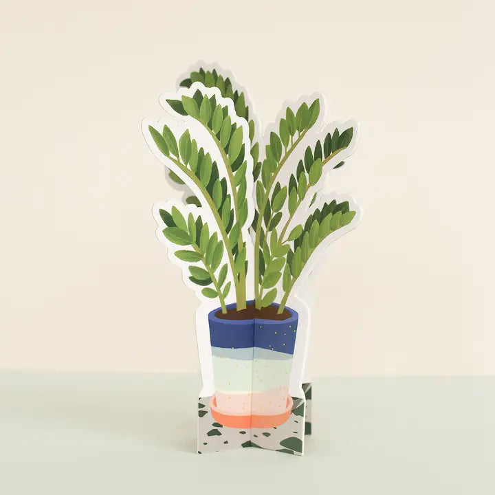 Zz | Decorative Paper Plant